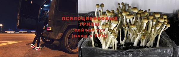винт Абинск