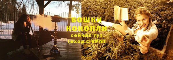 тгк Горно-Алтайск