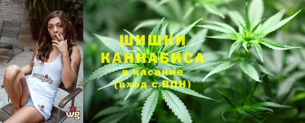 прущие грибы Алексин
