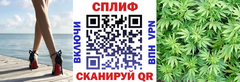 hydra Ленинградская Бошки марихуана THC 21% как найти наркотики